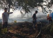 Gerak Cepat Polsek Bungaraya Padamkan Titik Api di Kampung Benayah, Karhutla Berhasil Dikendalikan