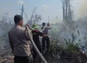 Satu Hektare Lahan Diduga Sengaja Dibakar Untuk Membuka Perkebunan Baru