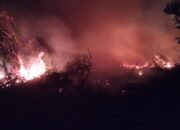 Karhutla Melanda 10 Daerah, BPBD Riau Siapkan Penetapan Status Siaga