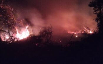 Karhutla Melanda 10 Daerah, BPBD Riau Siapkan Penetapan Status Siaga