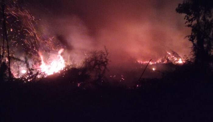 Karhutla Melanda 10 Daerah, BPBD Riau Siapkan Penetapan Status Siaga