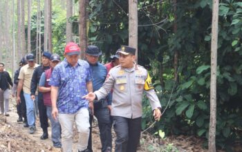 Gajah Sumatera Dibunuh, Kapolda Riau Tegaskan Negara Tak Boleh Kalah oleh Pemburu