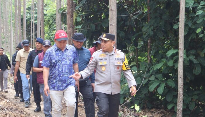 Gajah Sumatera Dibunuh, Kapolda Riau Tegaskan Negara Tak Boleh Kalah oleh Pemburu