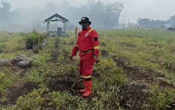 Titik Api Terus Bertambah, Kebakaran Hutan Kian Meluas