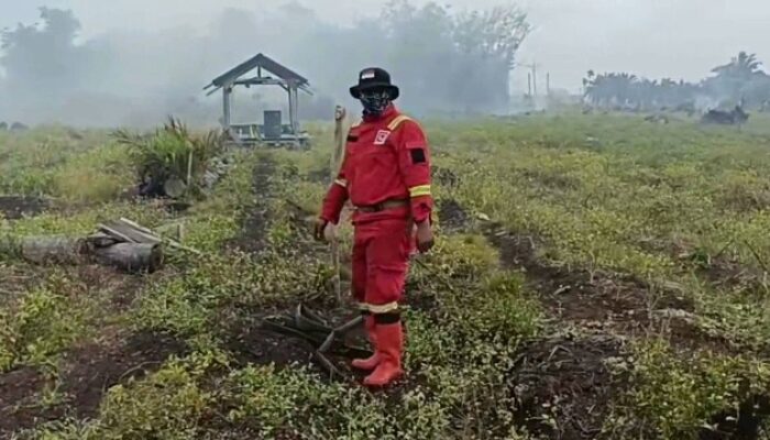 Titik Api Terus Bertambah, Kebakaran Hutan Kian Meluas