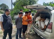 Bawa Ratusan Kilogram Sawit Curian, Dua Pria Diamankan Polsek Tualang