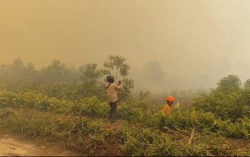 Karhutla Dekati Permukiman, Warga Rimbo Panjang Mulai Sesak Napas