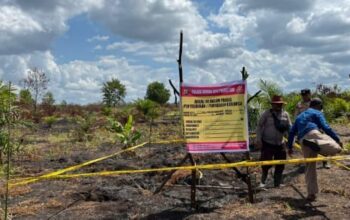 Buka Kebun dengan Cara Dibakar, 10 Hektare Lahan Gambut di Siak Hangus