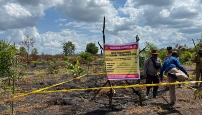 Buka Kebun dengan Cara Dibakar, 10 Hektare Lahan Gambut di Siak Hangus