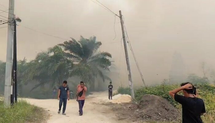 Asap Karhutla Kepung Permukiman di Rimbo Panjang Kampar, Warga Mulai Sesak Napas