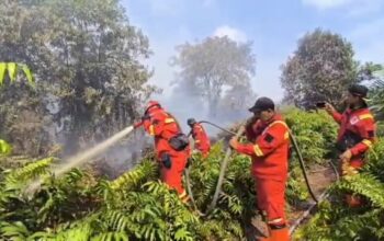 Pemprov Riau Tetapkan Status Siaga Darurat Karhutla 13 Februari- 30 November