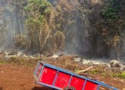 Bakar Lahan 5 Hektare di Bengkalis, Karyawan BUMD Resmi Jadi Tersangka