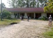 11 Gajah Masuk Mess Karyawan PT Arara Abadi di Minas, Tembok Roboh dan Motor Rusak