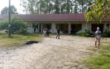 11 Gajah Masuk Mess Karyawan PT Arara Abadi di Minas, Tembok Roboh dan Motor Rusak