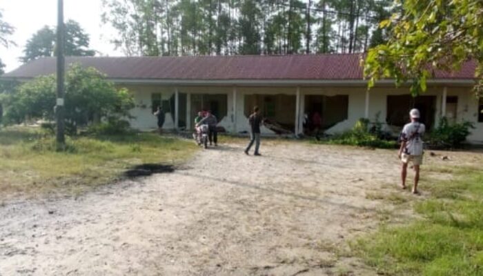 11 Gajah Masuk Mess Karyawan PT Arara Abadi di Minas, Tembok Roboh dan Motor Rusak