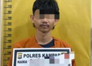 Spesialis Curanmor 5 TKP Dibekuk Polres Kampar, Rekan Pelaku Masih DPO