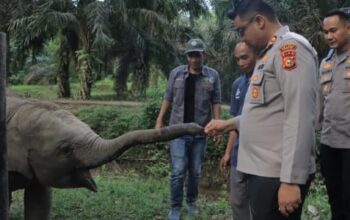 Kapolres Kampar Perkuat Komitmen Pelestarian Satwa Bersama Green Policing Runners