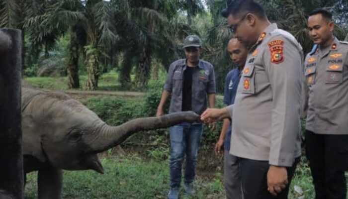 Kapolres Kampar Perkuat Komitmen Pelestarian Satwa Bersama Green Policing Runners