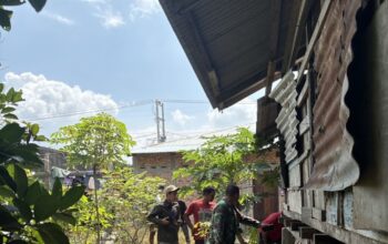 Kemunculan Harimau Sumatera di Benteng Hulu, BBKSDA Riau Lakukan Mitigasi Intensif