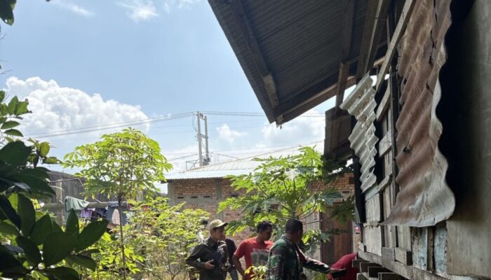 Kemunculan Harimau Sumatera di Benteng Hulu, BBKSDA Riau Lakukan Mitigasi Intensif