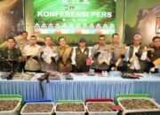 Polda Riau Bongkar Jaringan Perburuan Gajah Sumatera, 15 Tersangka Diamankan