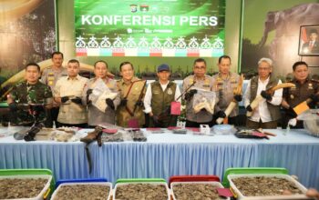 Polda Riau Bongkar Jaringan Perburuan Gajah Sumatera, 15 Tersangka Diamankan
