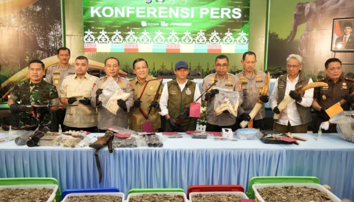 Polda Riau Bongkar Jaringan Perburuan Gajah Sumatera, 15 Tersangka Diamankan