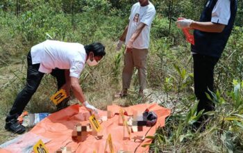 Penemuan Kerangka Manusia di Areal PT RAPP, Polisi Lakukan Penyelidikan