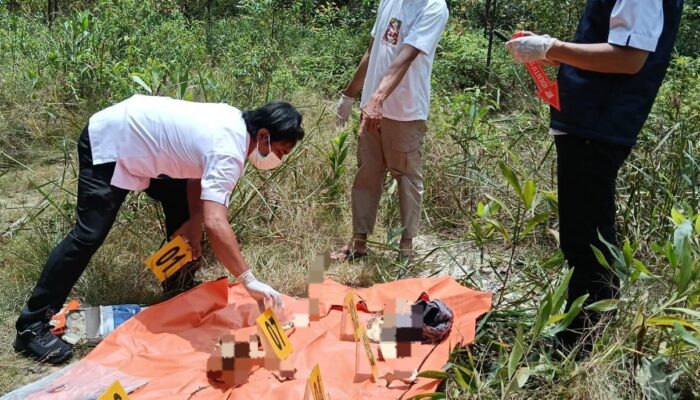 Penemuan Kerangka Manusia di Areal PT RAPP, Polisi Lakukan Penyelidikan