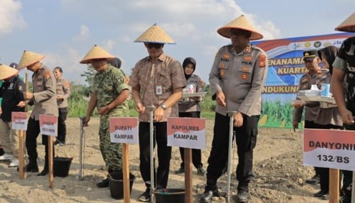 Wujudkan Ketahanan Pangan, Polres Kampar Bersama Forkopimda Tanam Jagung di Bangkinang